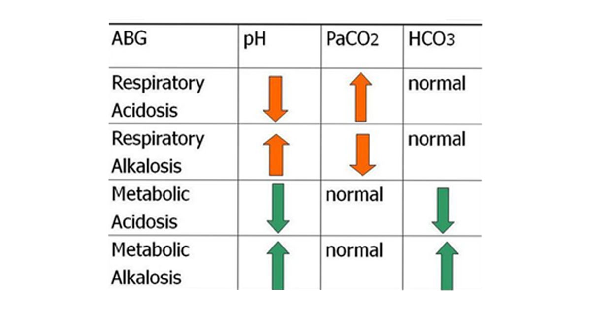 A Comprehensive Guide To Arterial Blood Gases ABGs 