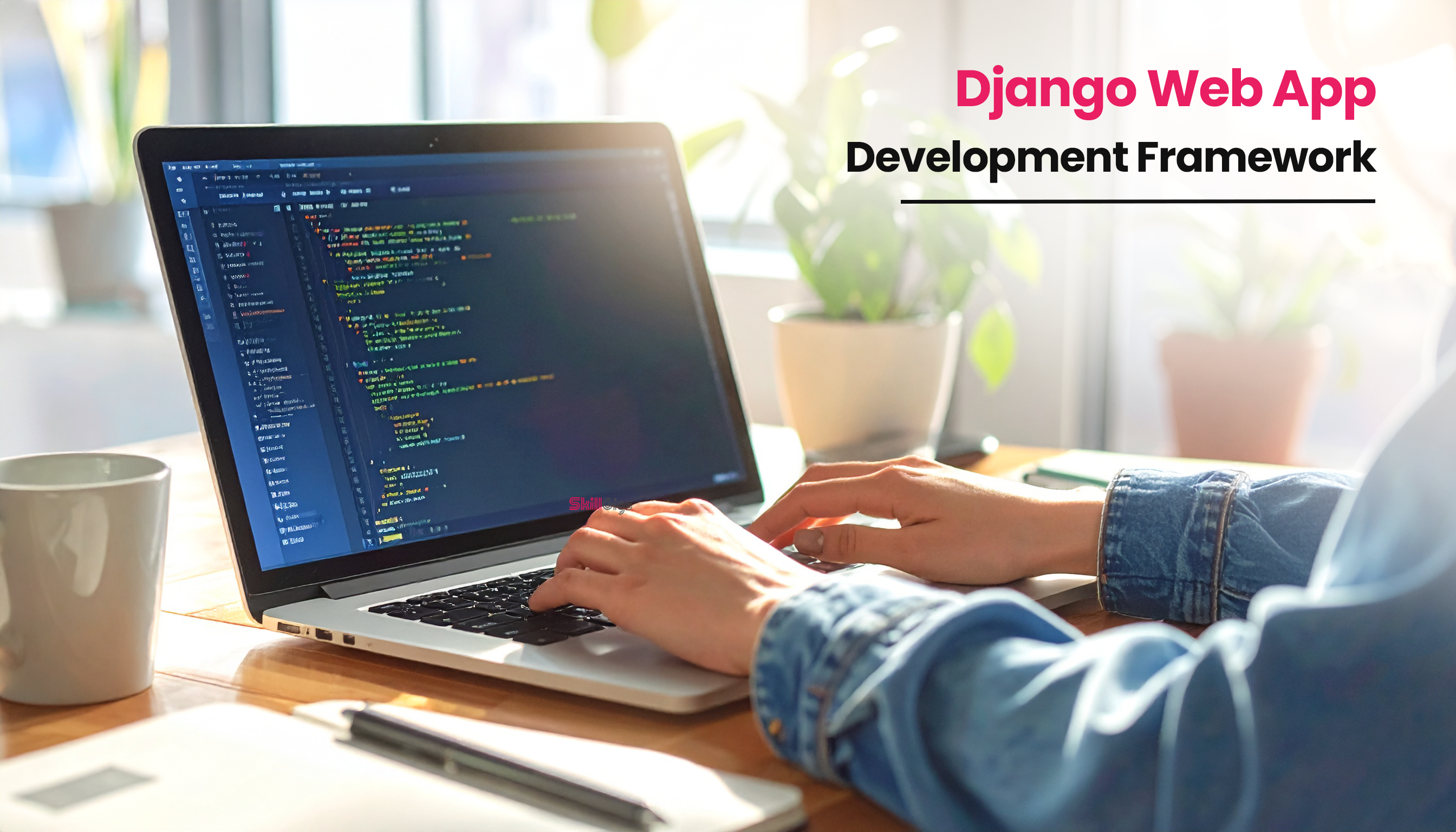 title image for the blog on What is Django