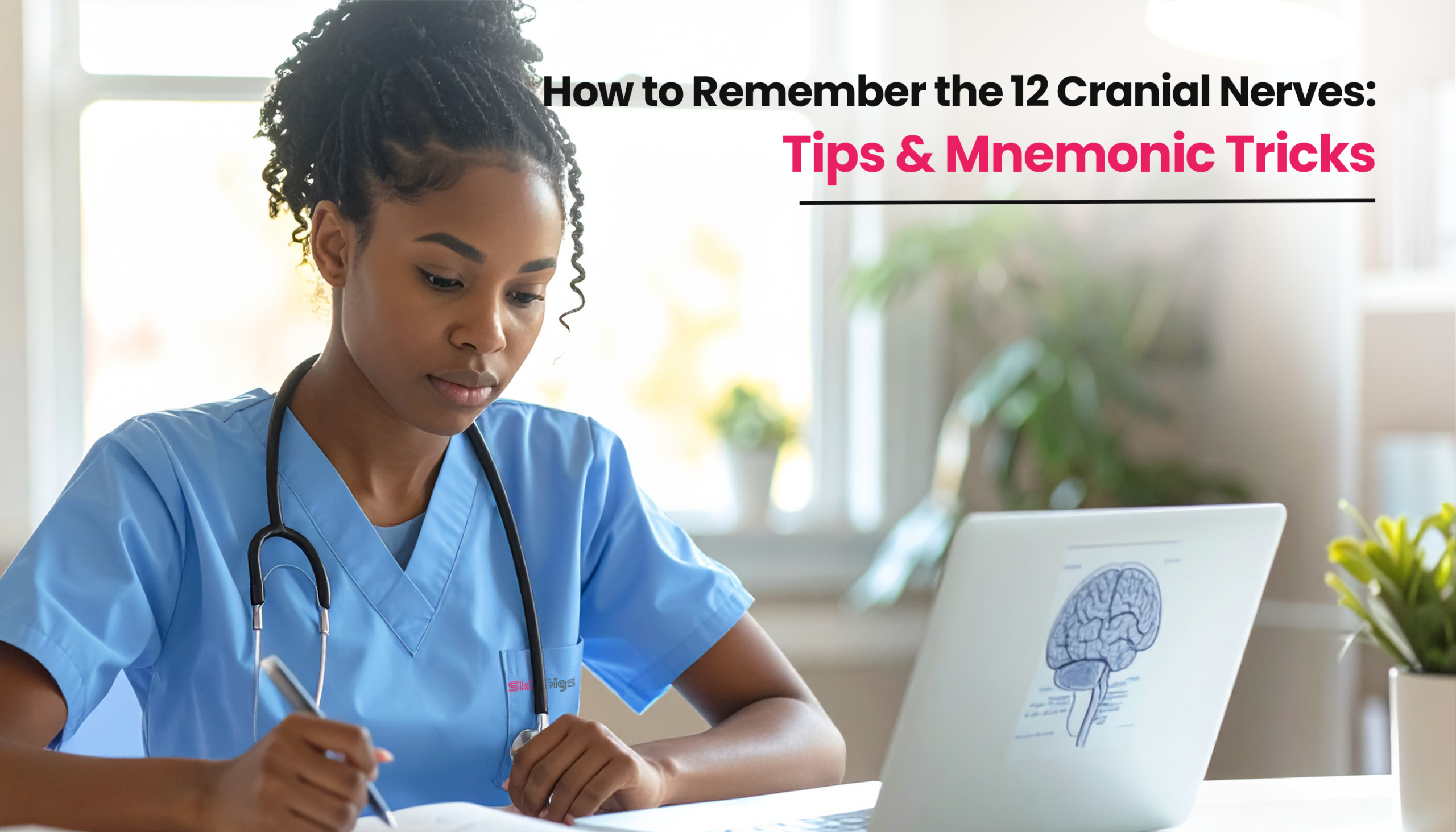Title image for the blog on How to Remember the 12 Cranial Nerves?