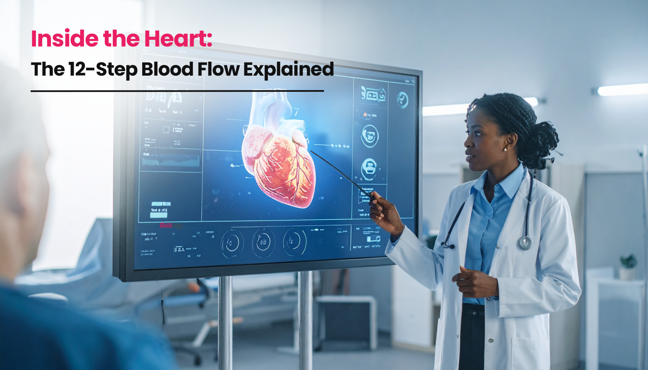 Title image for the blog on 12 Steps of Blood Through the Heart