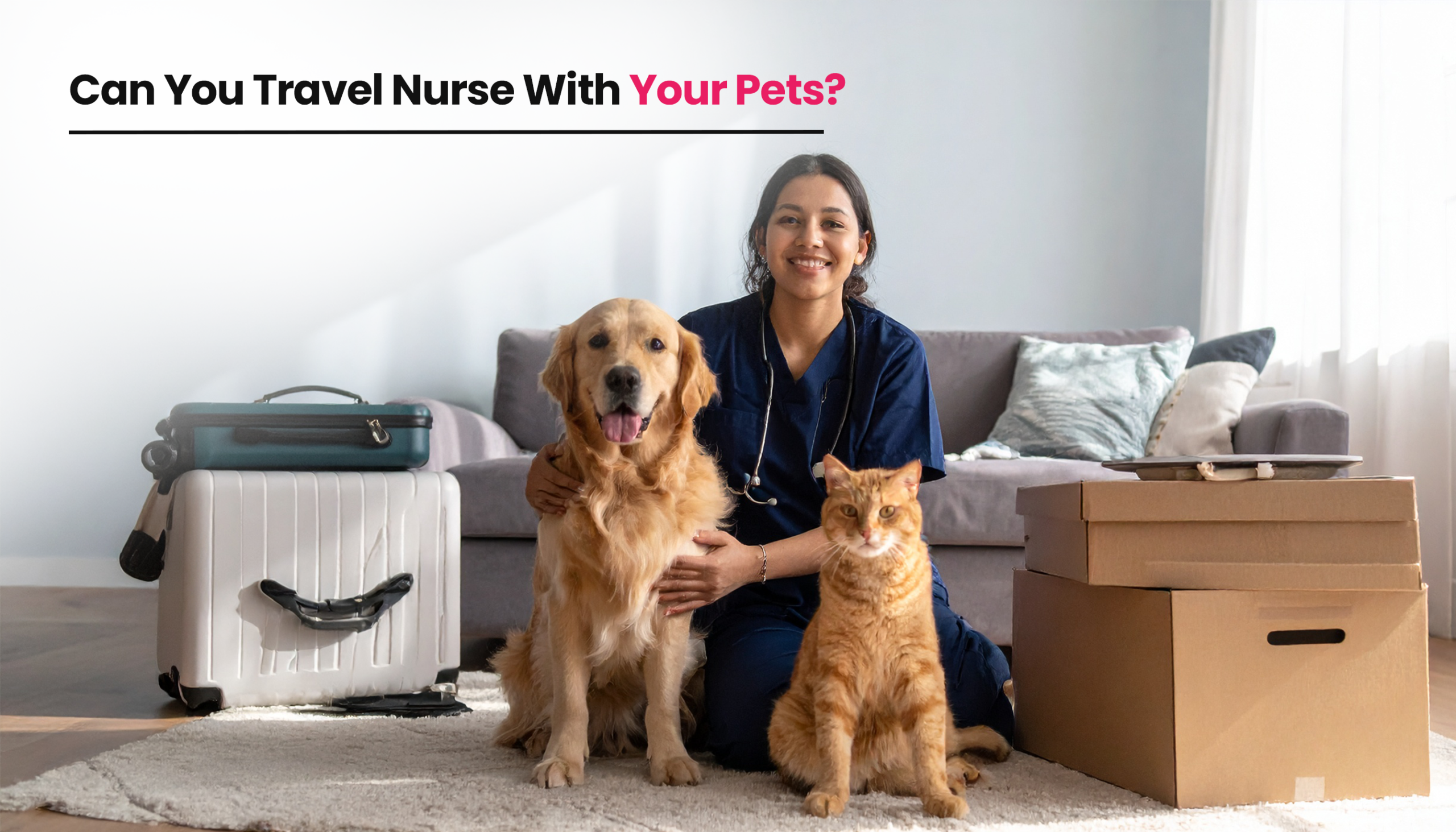 Title image for the blogs on Travel nursing with pets